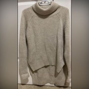 Aritzia turtle neck